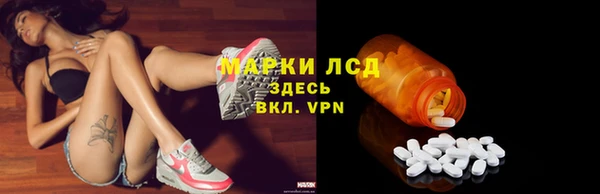 PSILOCYBIN Майский