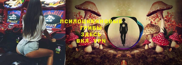 кокс Магас