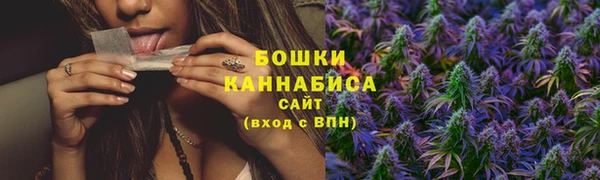 PSILOCYBIN Майский